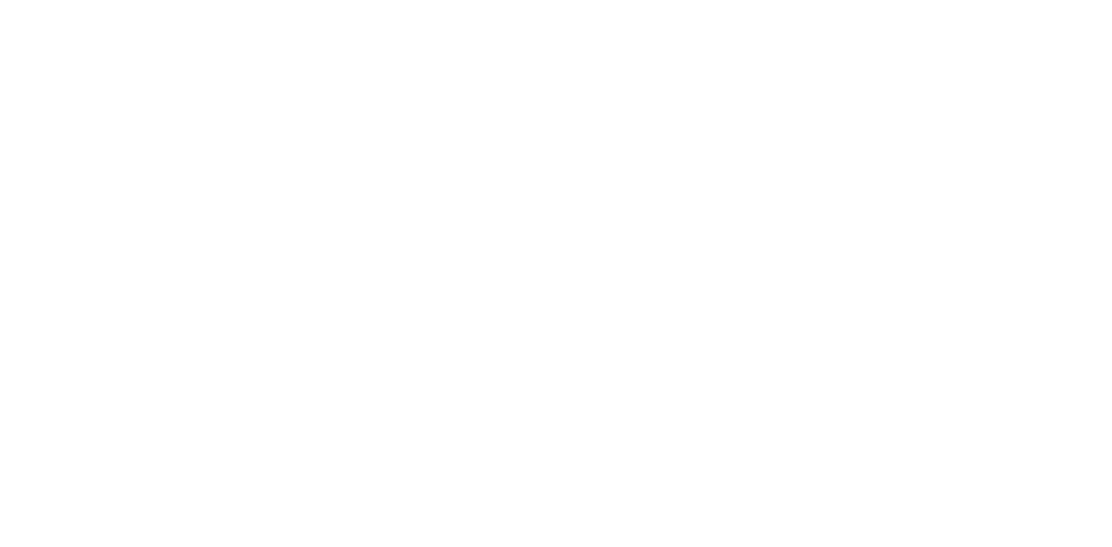 Montchat Perché – travaux en hauteur Lyon